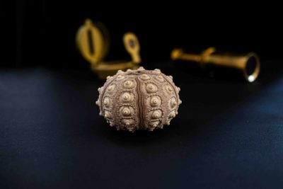 focus brainstorm fernrohr kompass_0015.jpeg